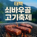 쇠바우골 탄광문화장터 | 2025 태백 쇠바우골 탄광문화 고기축제! 한우 최대 40% 할인 정보부터 꿀팁까지