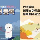 영광동물병원 이미지