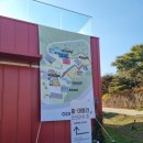 오프더데이지 이미지