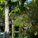 발리호텔 | 발리 우붓 '사포딜라 우붓 호텔' 숙소 추천 후기