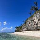 비치조아 이미지