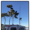 당나루물꽃승마마을 이미지