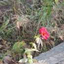 구항면 온요마을회관 이미지