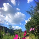 건강태극권(실용) 이미지