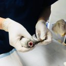 서울시 야생동물 구조관리센터 이미지