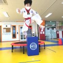 골든킥 태권도 유아체육 이미지