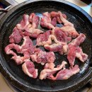 햇살마루청둥오리 이미지
