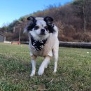 다온멍스쿨 이미지