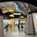 샵모빌리티 | 35개월, 5개월 아기와 용인 가볼만한 곳1 - 삼성화재 모빌리티뮤지엄