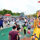 시민의숲 이미지