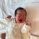 아이앤맘산부인과의원 | 설복맘 임신일기 : 마지막 임신일기 40주 3일 그리고 출산 part.2 아이앤맘산부인과 제왕절개후기