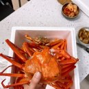 홍게양대게군 이미지