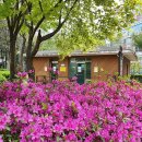 운암공원 이미지