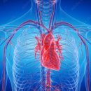 카페심실 이미지