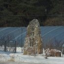 송이나라 이미지