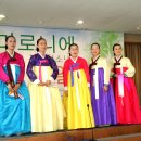 마로니에3 이미지