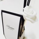 노벨라 별하나 이미지