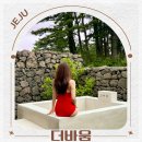 호동세탁 | 제주도 감성 숙소 추천 애견동반 가족 여행 코스 제주 돌담집 숙박 펜션 더바움