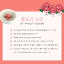 관광동구캐릭터 협동조합 이미지