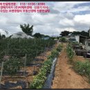 석포1리마을회관 이미지