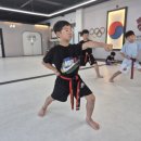 라이온태권도장 이미지