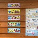 보드/부산근교빠지/칠천수상레저,칠천량옥계해수욕장...파크,아라베이]내돈내산 웨이크보드 초보강습후기