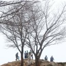성내3동 행정복지센터 교통섬 | [가덕도] 연대봉(459m) 산행후기---2025년 3월 1일(토)