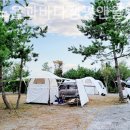 태안노을과바다캠핑앤글램핑 이미지