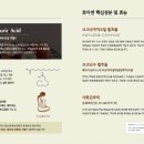 아이노아남성 이미지