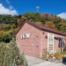 도우 | 남해 화덕피자 도우 후기