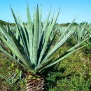 이정이농장 이미지