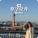 개이득뽑기방 | 부산에서 후쿠오카 배편 뉴카멜리아호 시간 예약 다인실 후기