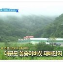 송의농장 네이버블로그