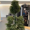 엑설라이프 이미지