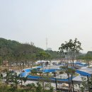패밀리파크 물놀이시설(수영장) 이미지