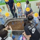 인천나비공원 이미지