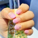 아르고네일 이미지