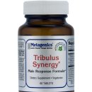 메타제닉스, 트리불러스, 남성 스테미너 정력 강화, Tribulus Synergy? 60 CT, 38000원 이미지