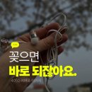 붕붕PC | 유선이어폰 추천 | 자비스 JV-C105 USB-C 커널형 줄이어폰 솔직 후기