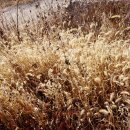 마석2리 이미지