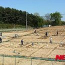 민등농장 네이버블로그