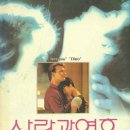 루시영어교습소 이미지