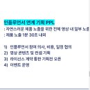 웰케어강북 | 새싹(SeSAC) 강북캠퍼스 브랜드마케터 과정 Day 25 - 브랜드 마케터 현직자 강의 -