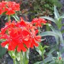 장현3리 이미지