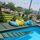 평생 사랑해 줄 개 애견펜션 이미지