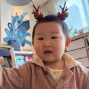 전원가든별관 | [자궁육종암/30대암환자]서울삼성병원 별관 6층 병동 항암13차 후기, 수술 후 1년째 CT 결과