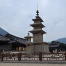 대광금속 | [밀양 여행] 밀양 천년고찰 표충사 배롱나무의 상징성과 표충사 특징