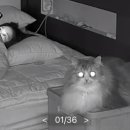 세진동물병원 이미지