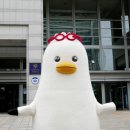 부기 노컷뉴스