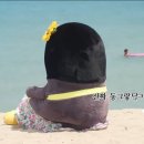 빨라쪼젤라또